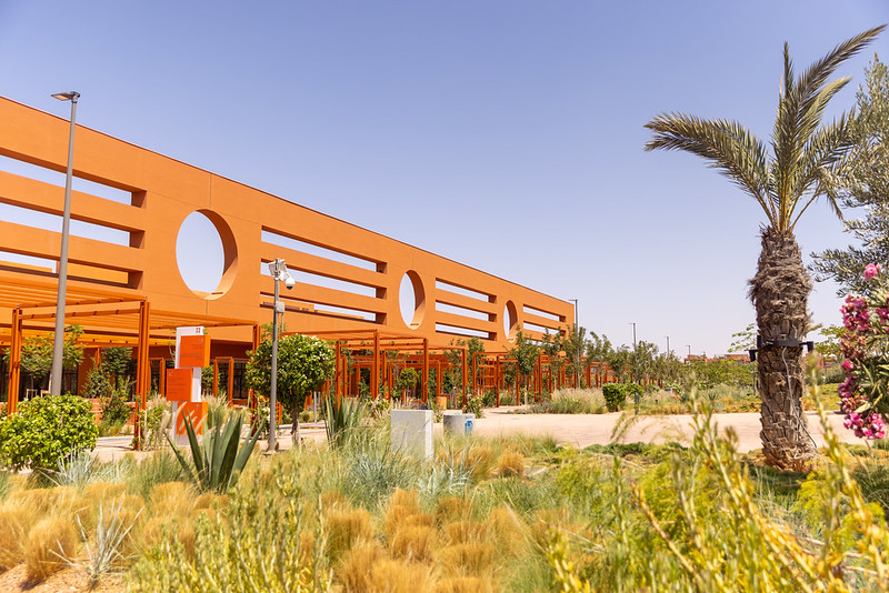 An orange geometric building with circular and linear cutouts. The foreground is filled with desert-friendly greenery.